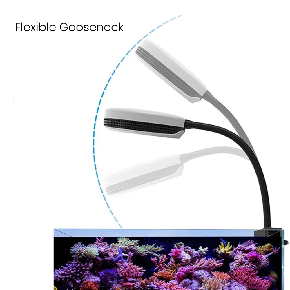 مصباح LED للأحواض المائية سبيك - مراجعة Aquarium Marine Lights وسعره