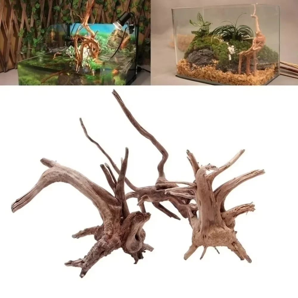 ديكور حوض السمك من الخشب الطبي - مراجعة Marine Fish Tank وسعره