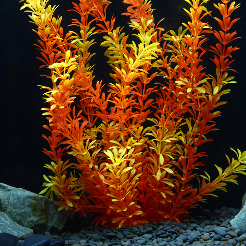 نباتات استوائية اصطناعية بطول  - مراجعة Ocean Aquarium وسعره