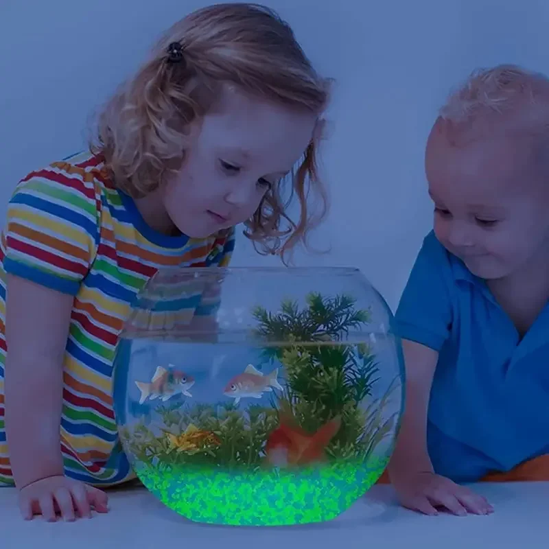1000 قطعة 3-5 مللي متر مضيئة ا - مراجعة Ocean Aquarium وسعره