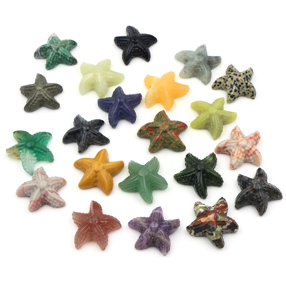 35 مللي متر نجم البحر شكل تمثا - مراجعة Marine Aquarium وسعره